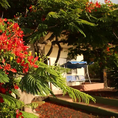 Casa Rita 3 度假居 *